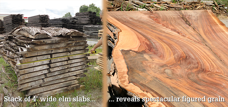 wide elm slabs beautiful grain